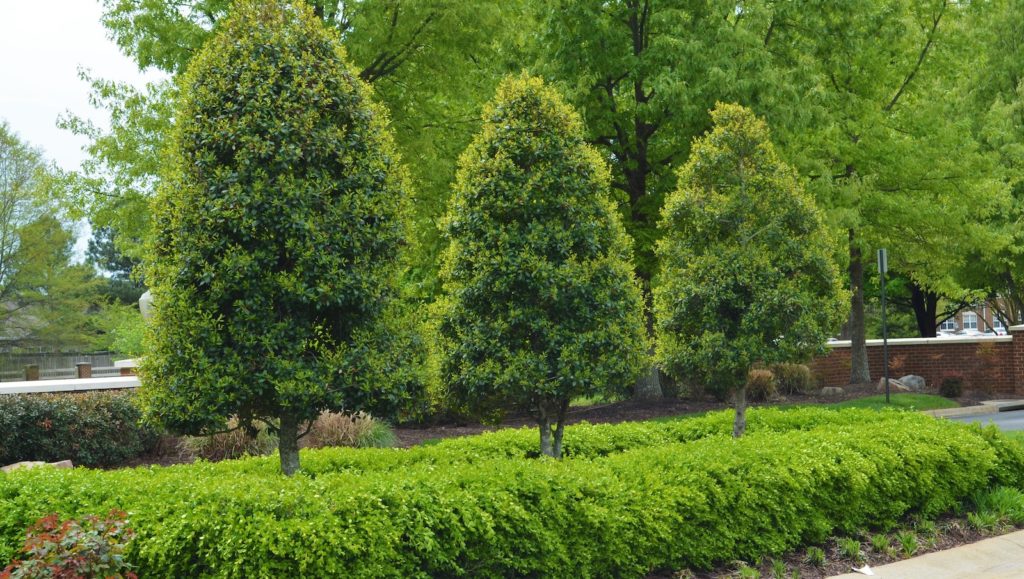 Commercial landscaping projects in Virginia